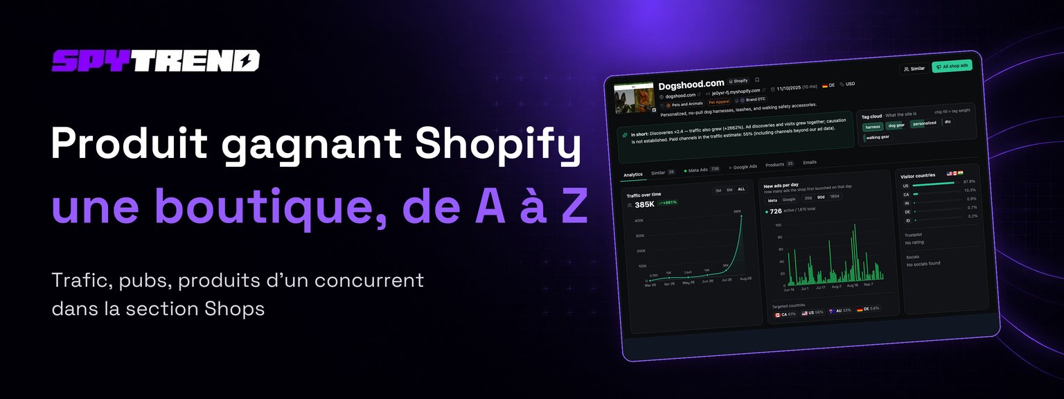 Espionner une boutique Shopify : repérer celles qui accélèrent et leurs produits gagnants (le cas dogshood.com)