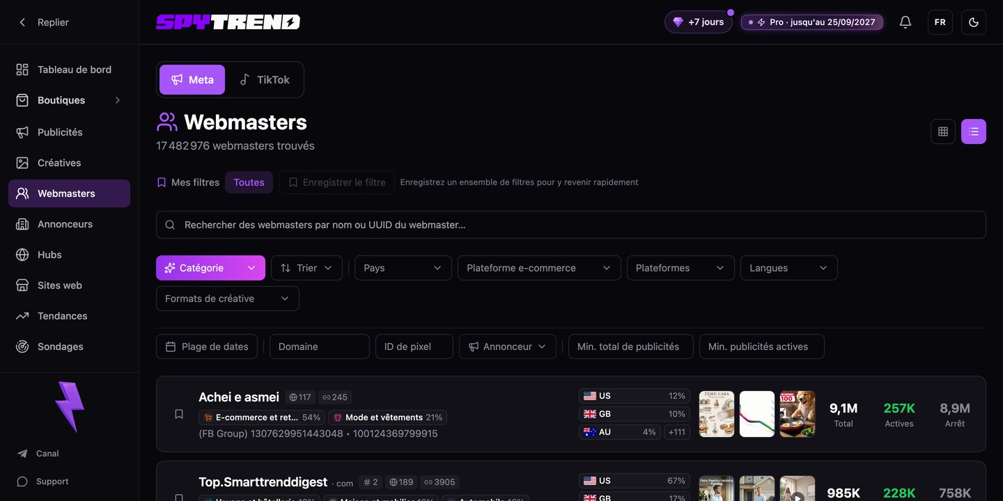 Section Webmasters de Spytrend : liste des webmasters et statistiques de leurs publicités
