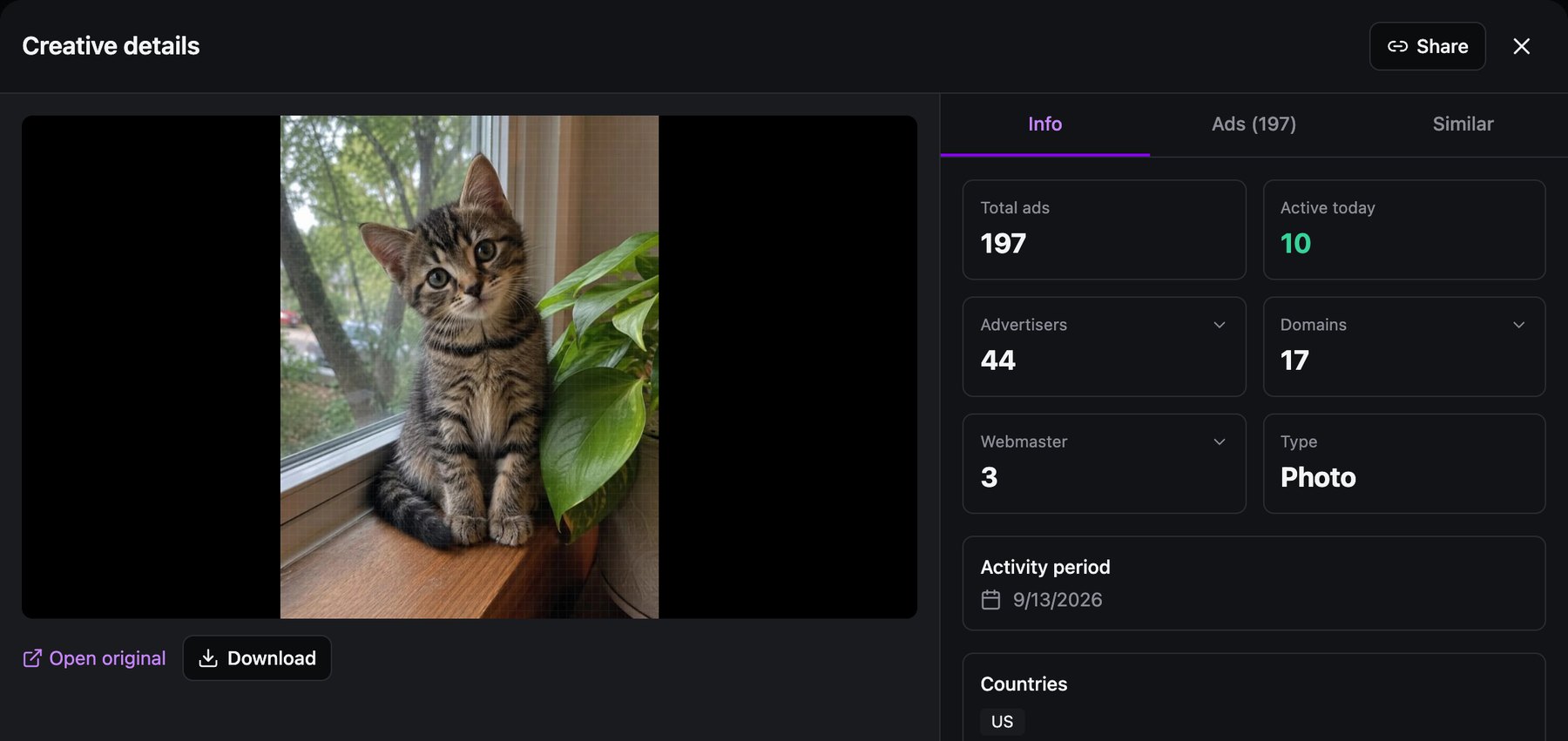 Spytrend Creative details: photo of a kitten by a window, 197 ads, 10 active today, 44 advertisers, 17 domains, 3 webmasters, activity period Sep 13, 2026